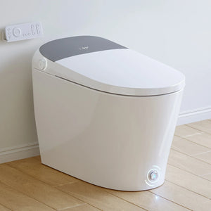 Horow T03Pro Smart Toilet Built-in Tank and Electric Booster Pump Model
